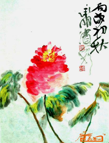 花鸟26